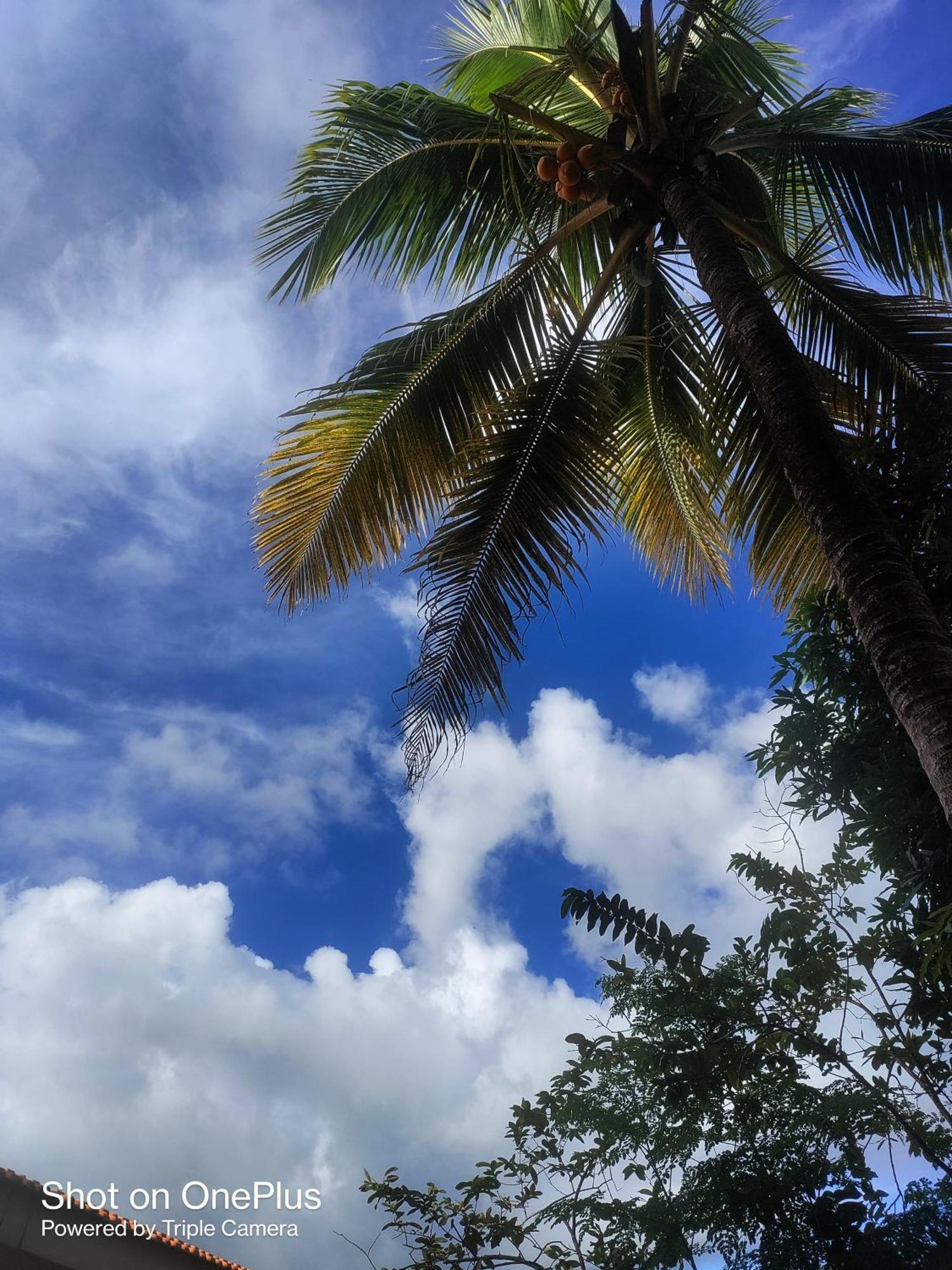 Hilton Garden Homestay Port Blair Exterior foto